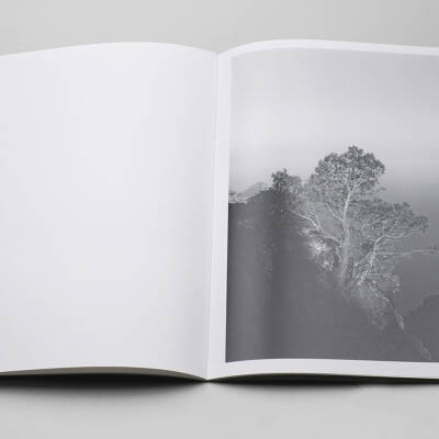 Awoiska Van Der Molen: Blanco (last copy) - Bookshop Anzenberger