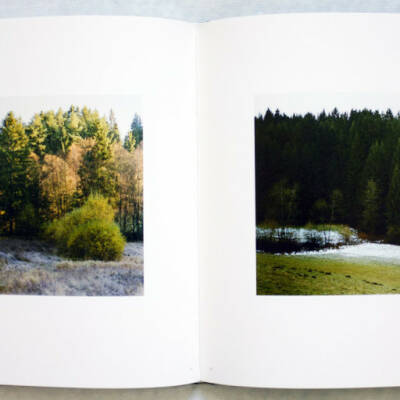 Bernhard Fuchs: Woodlands (English edition) - Bookshop Anzenberger