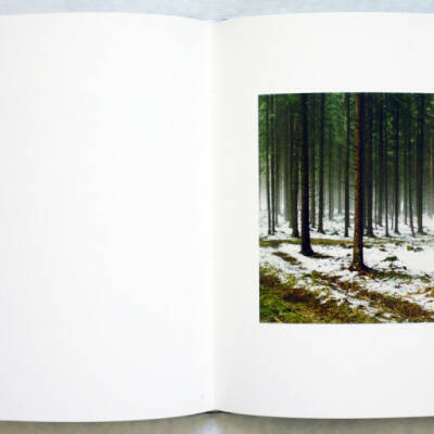 Bernhard Fuchs: Woodlands (English edition) - Bookshop Anzenberger