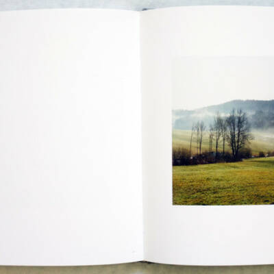 Bernhard Fuchs: Woodlands (English edition) - Bookshop Anzenberger