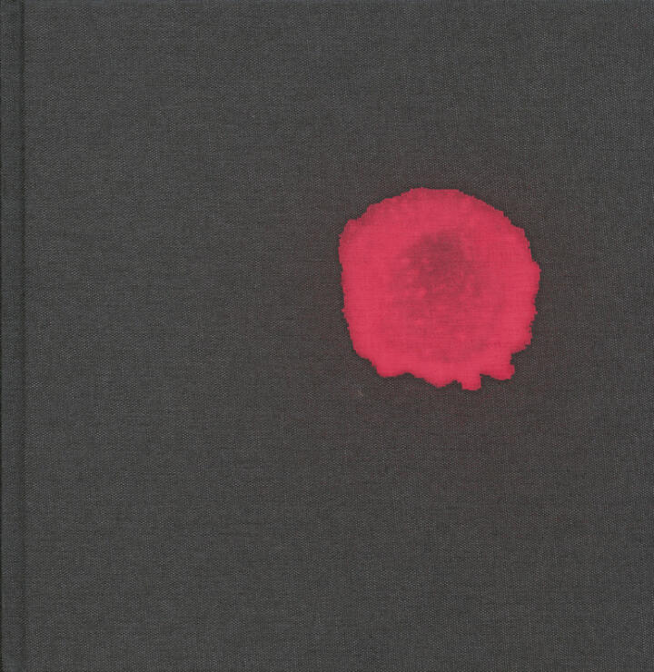 Stephen Gill: Archaeology in Reverse - Bookshop Anzenberger