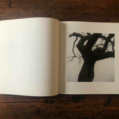 Bernhard Fuchs: Mühl - Bookshop Anzenberger Gallery