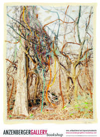 Bernhard Fuchs: Woodlands (English edition) - Bookshop Anzenberger