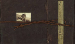 ashes and snow/Gregory Colbert写真集CD冊子シール Gregory Colbert - Ashes and Snow: New York Exhibition