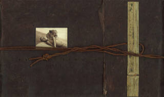 Gregory Colbert: Ashes and Snow Exhibition Catalogue - Bookshop