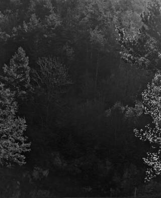 Awoiska Van Der Molen: The Humanness of Our Lonely Selves