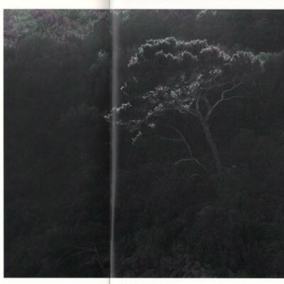 Awoiska Van Der Molen: Sequester (second edition - signed