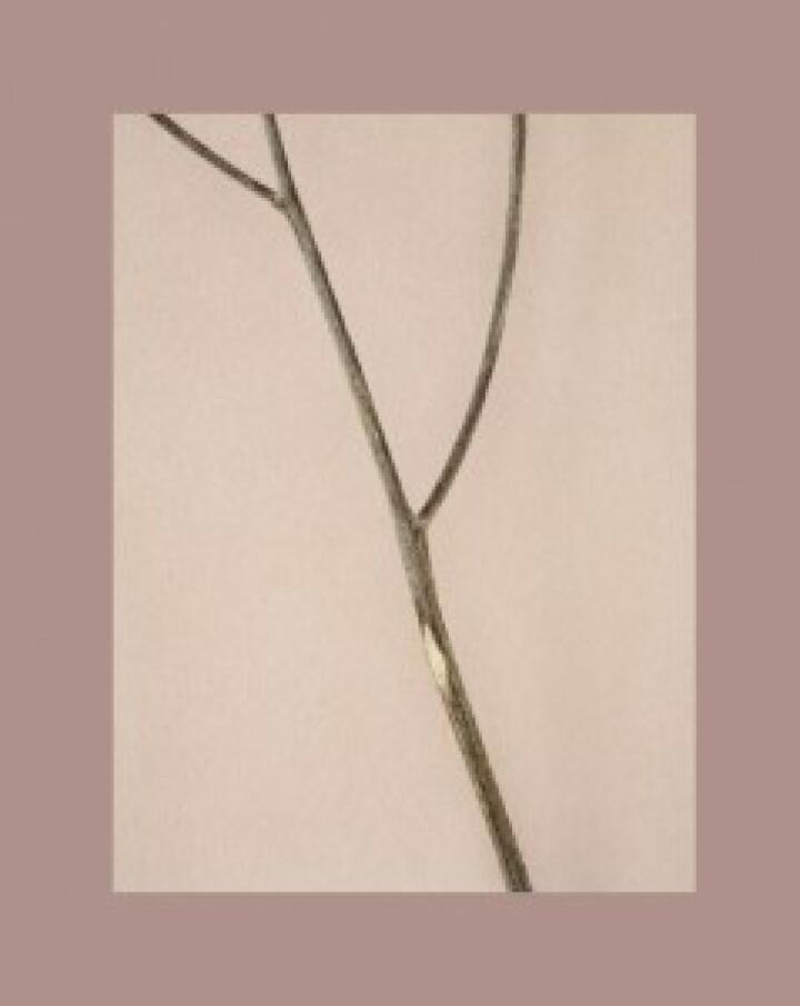 Casper Sejersen: Belongs to Joe (review copy - last copy