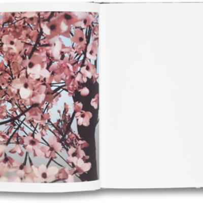 Thomas Demand: Blossom - Bookshop Anzenberger Gallery