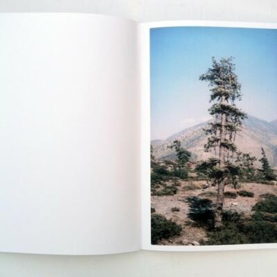 Vincent Delbrouck: Some Windy Trees (signed - last copy