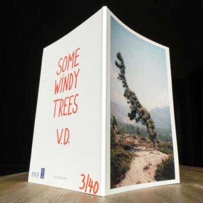 some windy trees - IGNANT